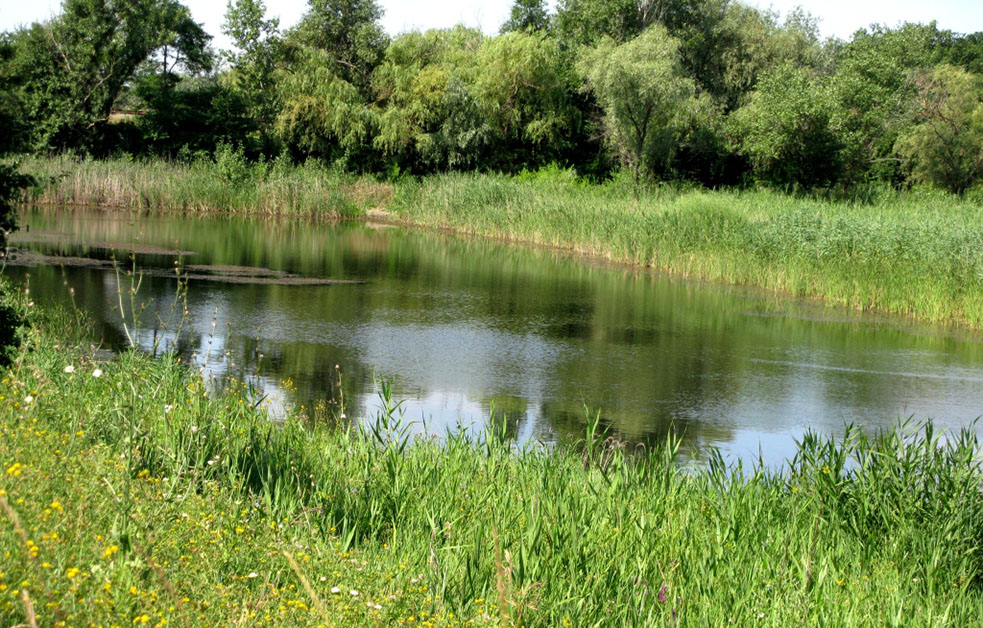 оз. Біловід